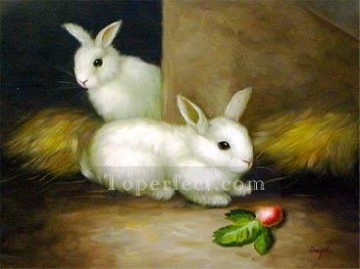 dw004hD animal rabbit Oil Paintings